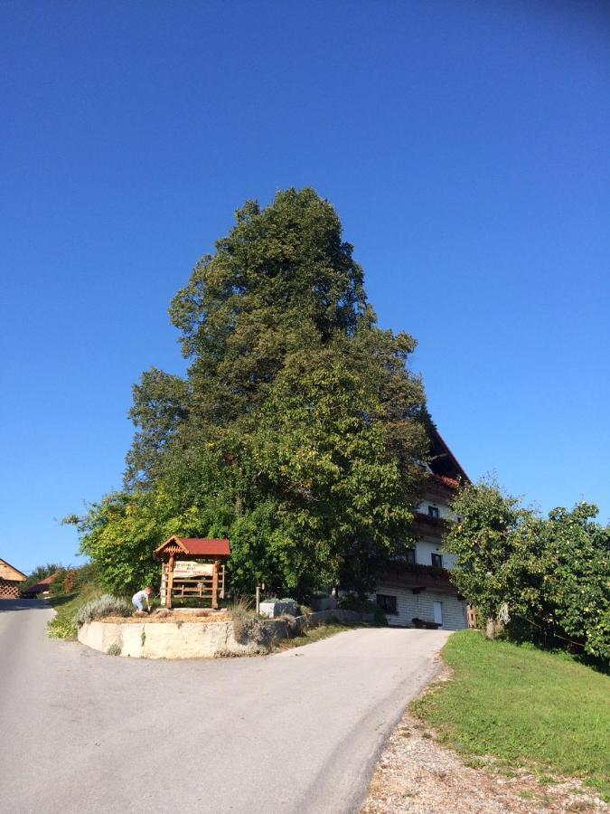 Country House Apat Sostanj Dış mekan fotoğraf