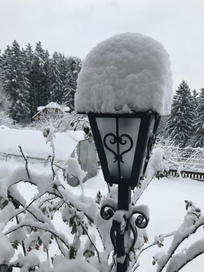 Country House Apat Sostanj Dış mekan fotoğraf