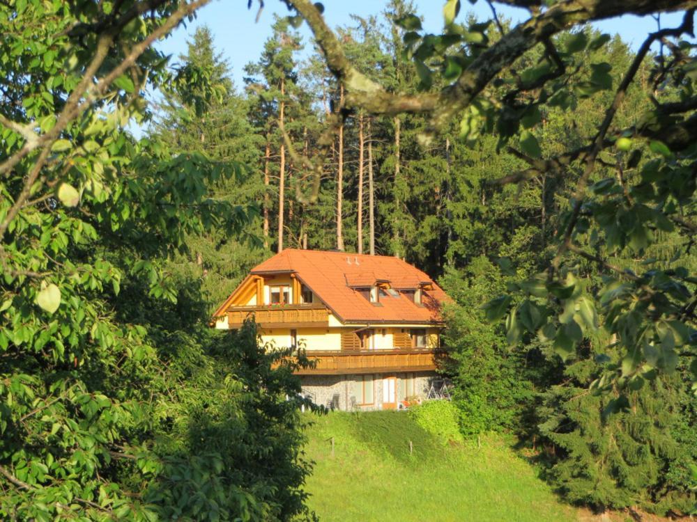Country House Apat Sostanj Dış mekan fotoğraf