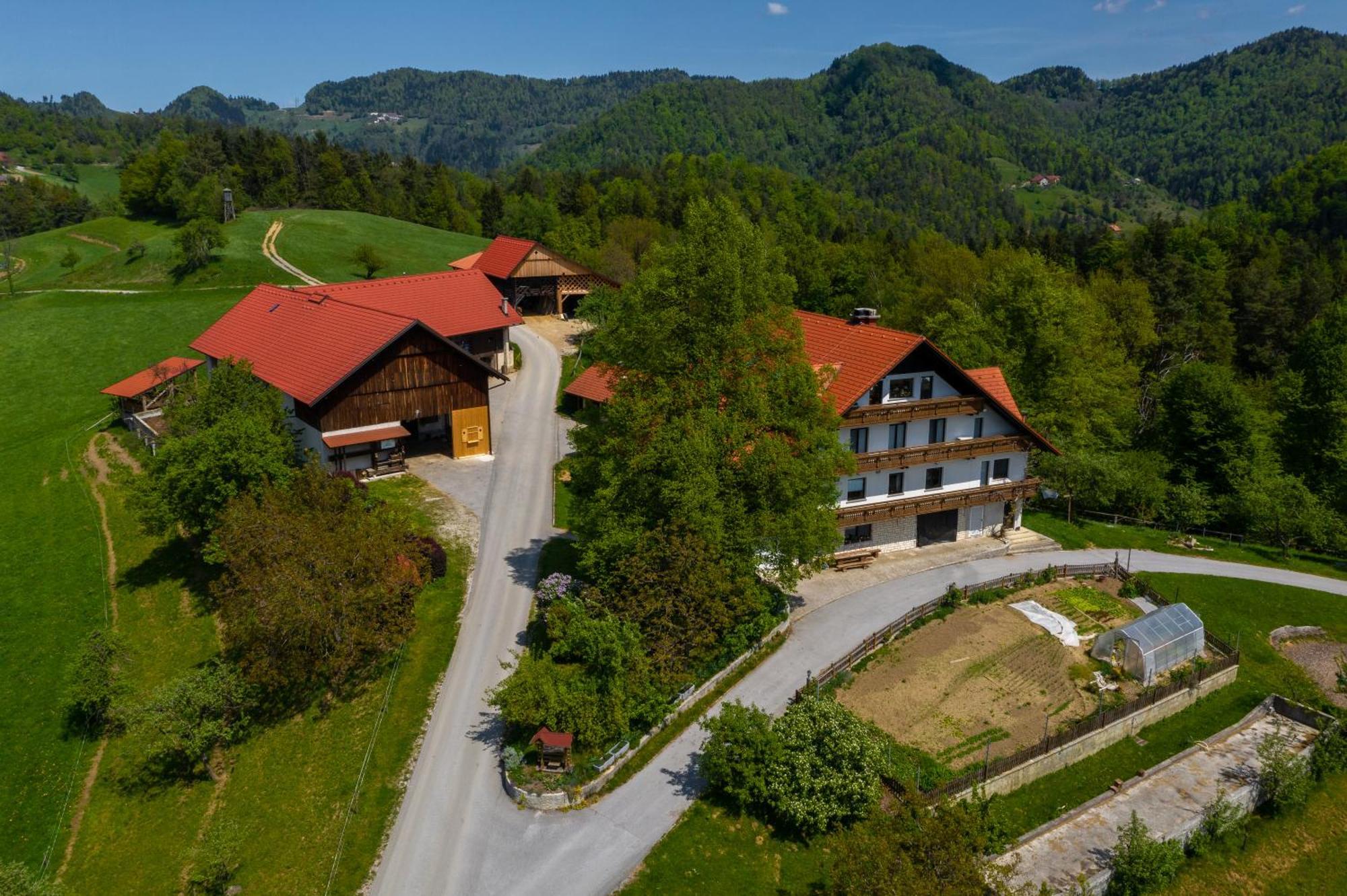 Country House Apat Sostanj Dış mekan fotoğraf