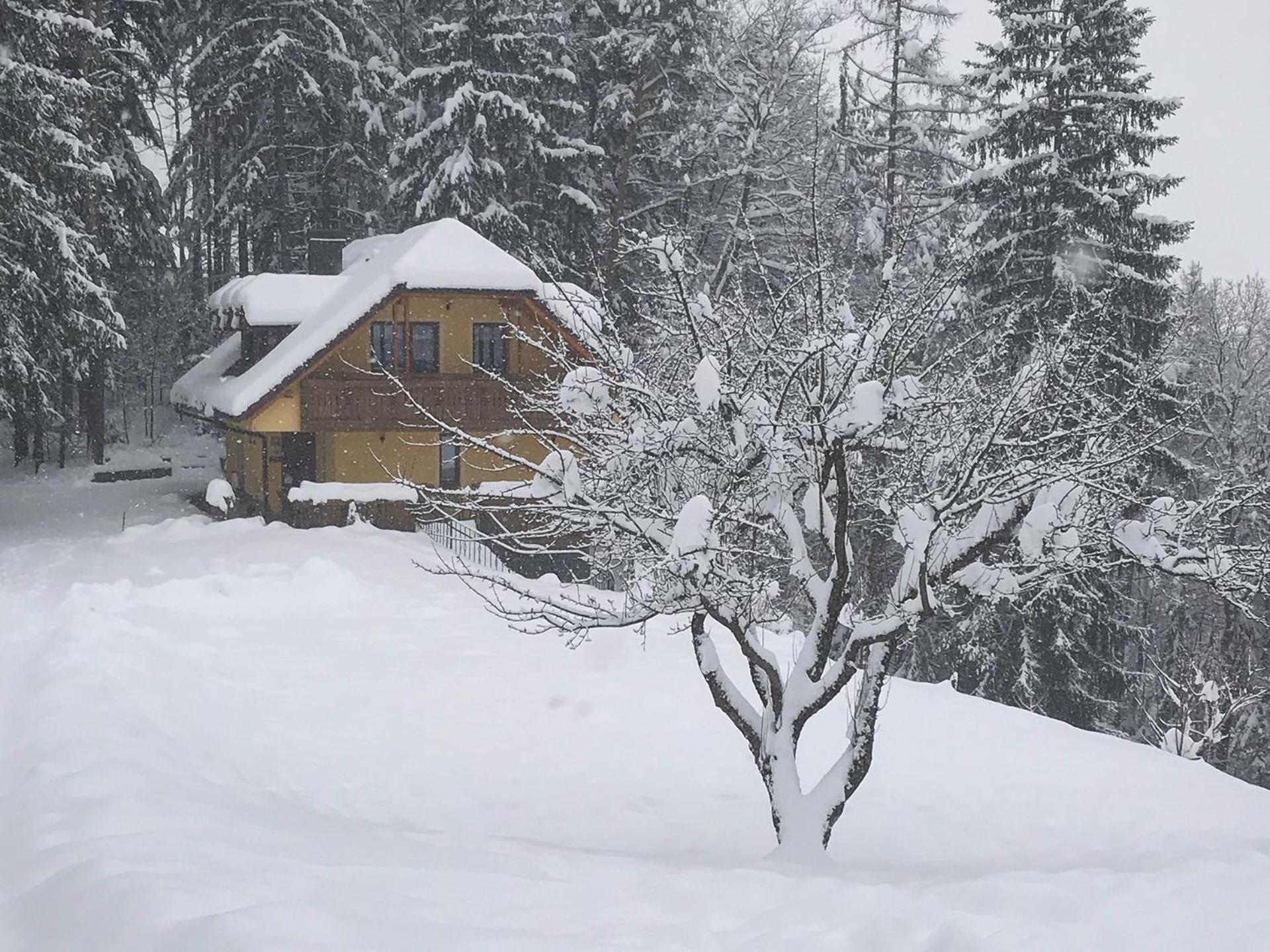 Country House Apat Sostanj Dış mekan fotoğraf
