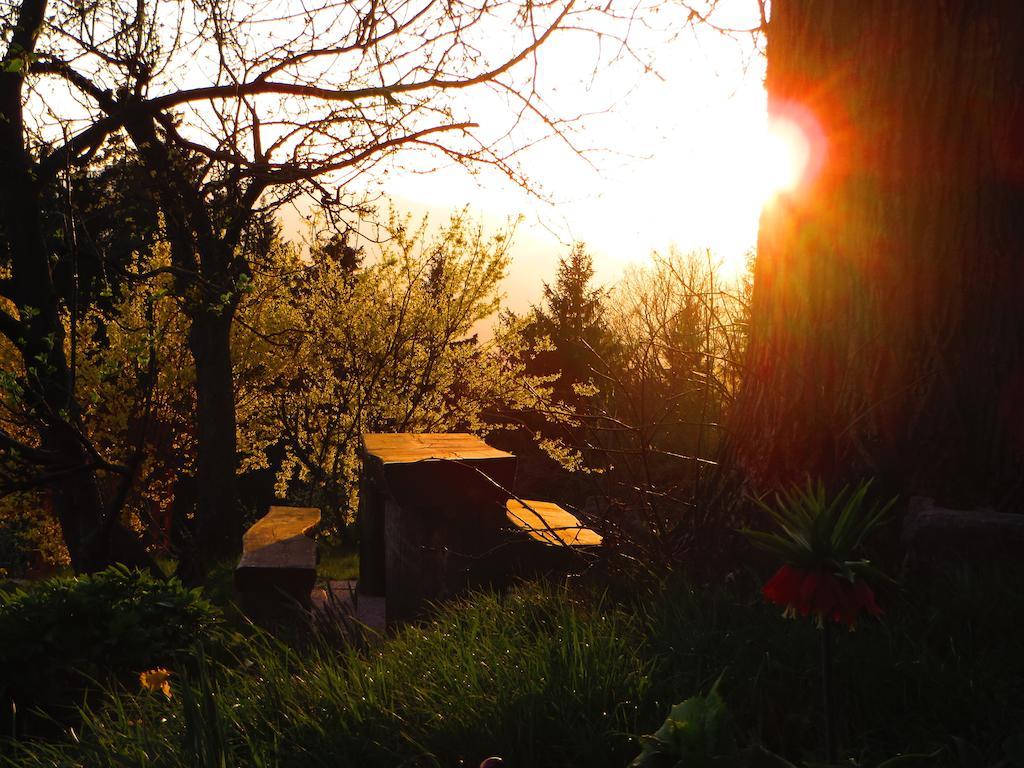Country House Apat Sostanj Dış mekan fotoğraf